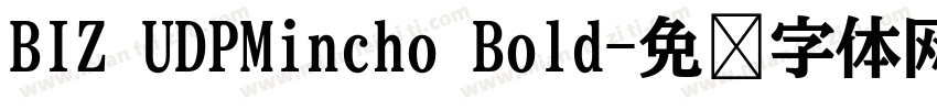 BIZ UDPMincho Bold字体转换